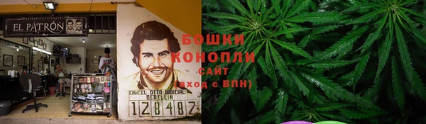 бошки Бронницы