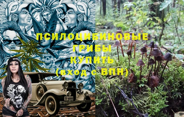 бошки Бронницы