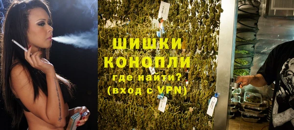 бошки Бронницы