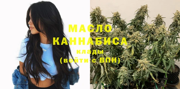 бошки Бронницы