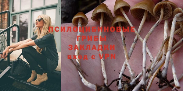 бошки Бронницы