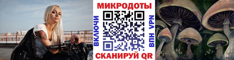 Купить закладки  Киреевск  Псилоцибиновые грибы MAGIC MUSHROOMS 
